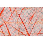 Aleksander Roszkowski (b. 1961, Warsaw), Cut Wounds, Stab Wounds (Life), 2024
