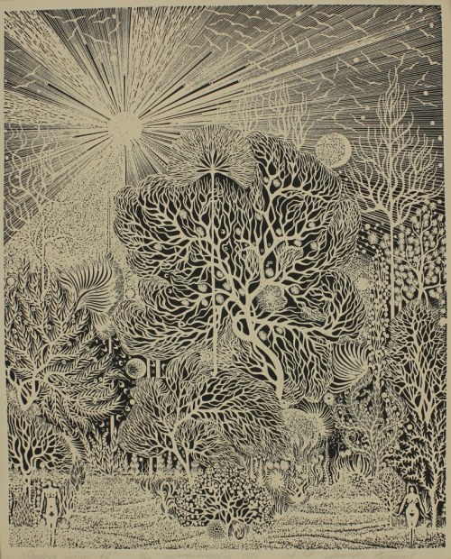 Henryk Płóciennik, Miodowy miesiąc 42, 1974