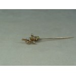 PIN