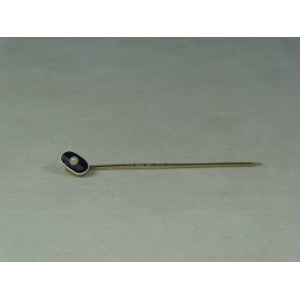 PIN