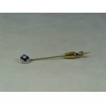 PIN