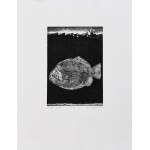 Grzegorz Frydryk (geb. 1976), Der Prophet Jona, 2006