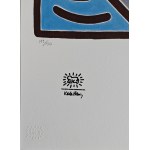 Keith Haring (1958–1990), Communication