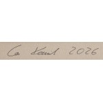 Kamil Gos (b. 1989, Wołomin), A Repository of Untold Truths, 2026