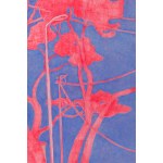 Katarzyna Fortuna (ur. 1966, Malbork), Llafranc no. 3, 2024