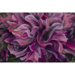 Hanna Rozpara (b. 1990, Sosnowiec), Peony, 2026