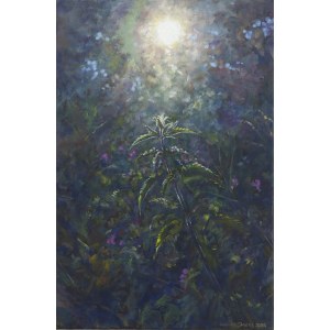 Łukasz Jacek (b. 1978), Sun 2, 2026