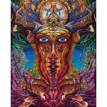 Sławomir Cwalina, O4- Duality (P15), 2016