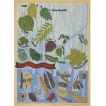 Krystyna Witkowska (1926 Warszawa - 2000 Warszawa), Ilustracja do czasopisma 