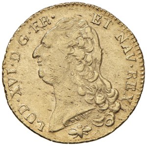 Foreign coins - FRANCIA Luigi XVI (1774-1792) Lyon - Doppio Luigi ...