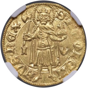 Foreign coins - *UNGHERIA Sigismondo (1387-1437) Fiorino IV (1394-...