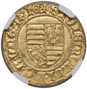 Foreign coins - *UNGHERIA Sigismondo (1387-1437) Fiorino IV (1394-...