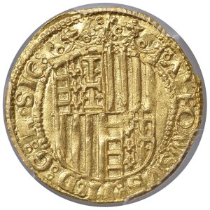 Italian Mints - NAPOLI Alfonso II d'Aragona (1494-1495) Ducato sig...