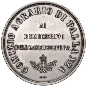 Medals - PALLANZA-VERBANIA 1885 Medal of Honor for Meritorious Service...