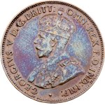 Žiūrėti panašius