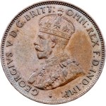 Žiūrėti panašius