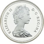 Zobrazit podobné