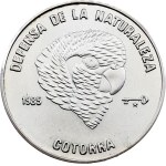 Žiūrėti panašius