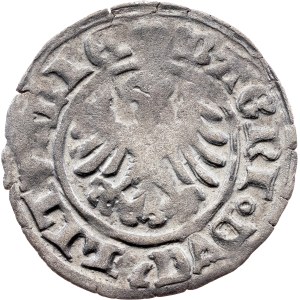 Litevské velkovévodství, 1/2 groš bez letopočtu (1495–1506), Vilnius