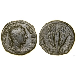 Rzym prowincjonalny, brąz, 8 rok panowania (AD 228-229)