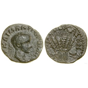 Provinční Řím, bronz, 244 (7. rok vlády)