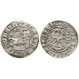 Poland, half grosz, (15)13, Vilnius