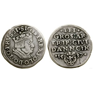Poland, trojak, 1537, Gdańsk