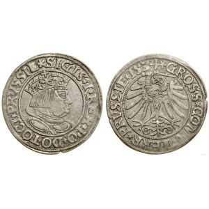 Poland, grosz, 1534, Toruń
