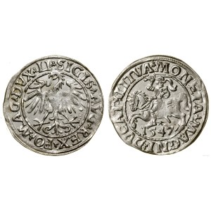 Poland, half-grosz, 1547, Vilnius