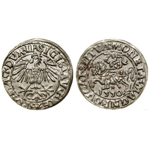 Polska, półgrosz, 1550, Wilno