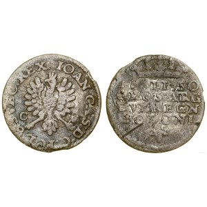 Polska, dwugrosz, 1650, Bydgoszcz