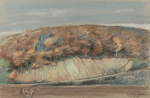 Landschaft mit Pferd