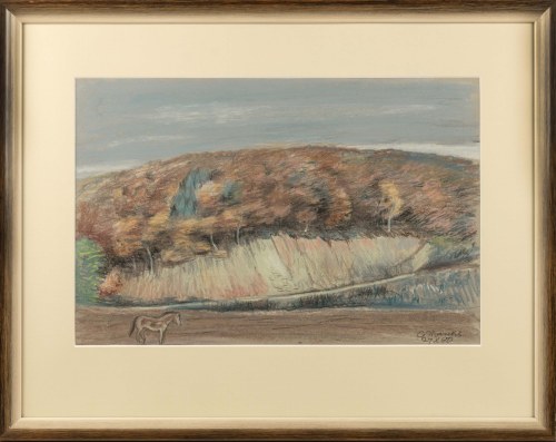 Landschaft mit Pferd