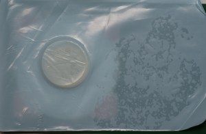 Orzeł Bielik 50 złotych 1996