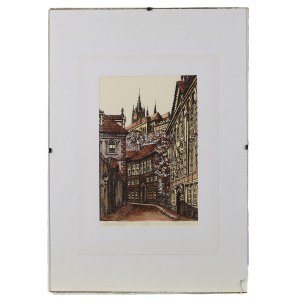 ALEX (XX/XXI w.), Praha - widok na Katedrę św. Wita, 2002
