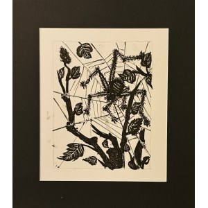 Pablo Picasso (1881-1973), Pająk, z cyklu 31 rycin do tekstów Buffona, 1970