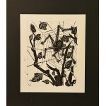 Pablo Picasso (1881-1973), Pająk, z cyklu 31 rycin do tekstów Buffona, 1970