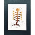 Salvador DALI (1904-1989), Arbre Soleil z cyklu Flordali