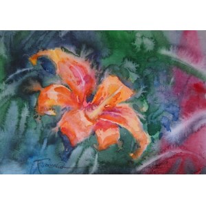 Alexander Franko, Flower