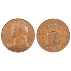 MEDAL PAMIĄTKOWY, ŚWIĘTO MIĘDZYNARODOWE 13-14 MAJA, Francja, Roubaix, 1894