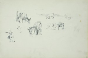 Włodzimierz Tetmajer (1861 - 1923), Szkice pasących się krowy i kozy, 1907