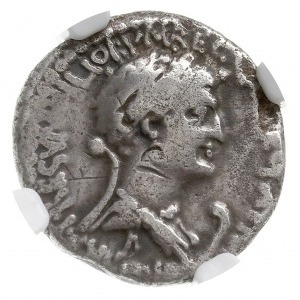 denar 34 pne, Aleksandria, Aw: Głowa Marka Antoniusza w...