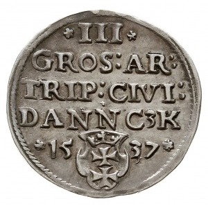 trojak 1537, Gdańsk, odmiana z końcówką napisu DANNC3K,...