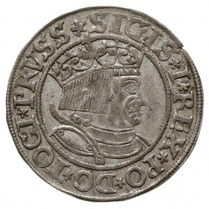 grosz 1533, Toruń, miecz trzymany w łapie po lewej stro...