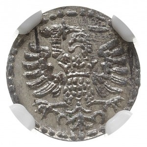 denar 1594, Gdańsk, CNG 145.V, Kop. 7460 (R2), moneta w...