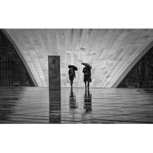 Cezary Dubiel, Deszczowy dzień w Paryżu, 2014