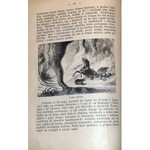 STROYNOWSKI - ZIEMIA I JÉJ MIESZKAŃCY wyd. 1881 ryciny, oprawa