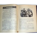 SCHILLER - DZIEŁA POETYCZNE I DRAMATYCZNE t.1-2 (komplet w 2 wol.) wyd. 1885r. OPRAWA SECESYJNA