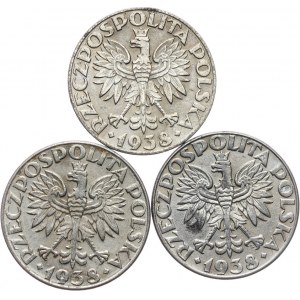 Polska, Generalna Gubernia 1939-1945, zestaw 3 szt. 50 groszy 1938, Warszawa, żelazo niklowane
