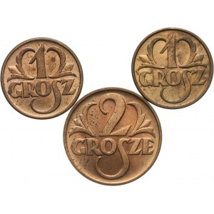 Polska, II Rzeczpospolita 1918-1939, zestaw 3 monet 1 i 2 groszowych